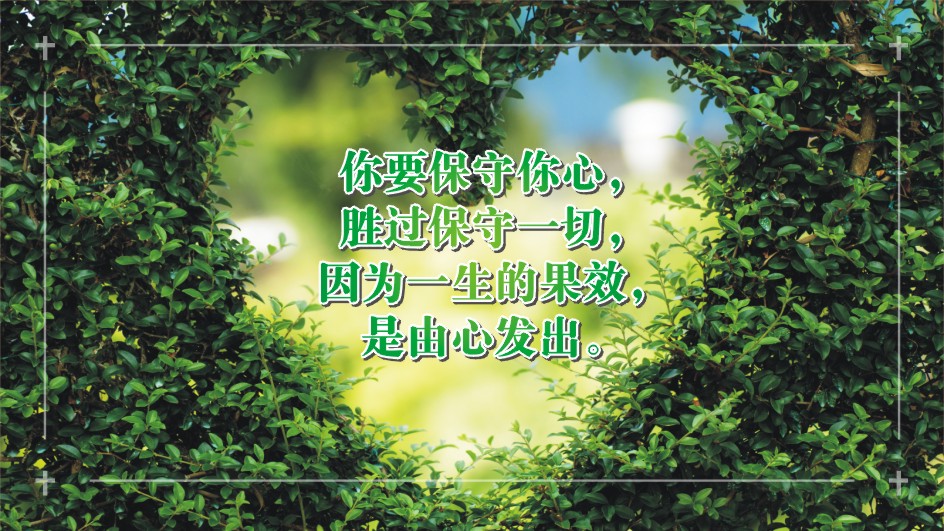 《生命隽语》5月11日